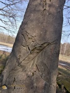 Ķekavas pagastā pie Kuģu mājām kritušo latviešu strēlnieku brāļu kapi