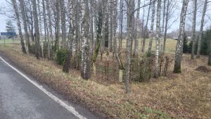 Sējas Sarkanās (Padomju) armijas karavīru kapsēta