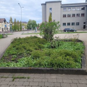 Piemiņas akmens “Nevainīgajiem sarkanā terora upuriem”