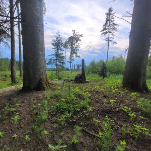 Somu karavīru piemiņas vieta Galiņos