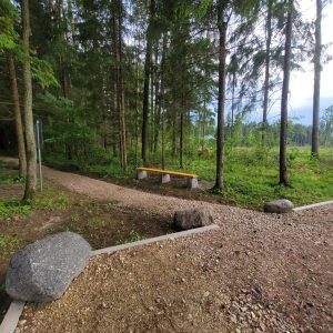 Vācu karavīru brāļu kapi Galiņos (Foto R. Ķipurs 23.06.2025.)