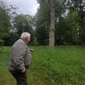 Puzes pagasta Stiklos piemiņas akmens Kureļa grupai