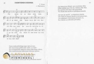 Ziemupes Gaišais skumju akmens
