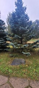 Latvijas televīzijas kolektīvs Latvijas Republikas neatkarības atjaunošanas 10. gadadienā