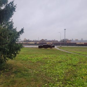 Vides objekts Daugavpilī Latvijas un Polijas karavadoņiem