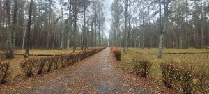 Daugavpils, Mežciems, Nacisma upuru memoriāls