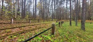 Holokausta upuru piemiņas vieta Subatē