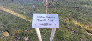 Piemiņas skvērs “Brīvības gaisma”